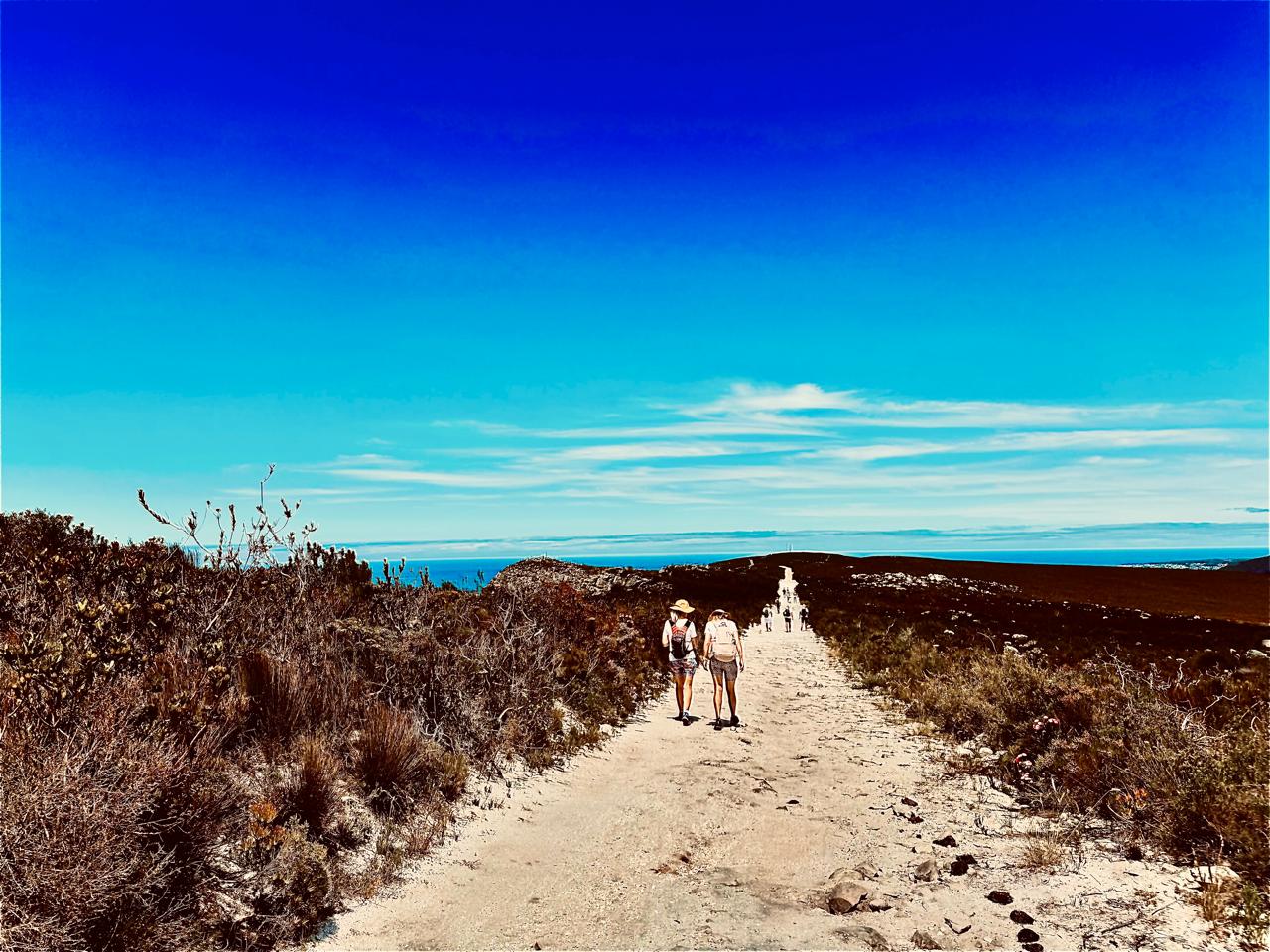 Michelle Aucamp | Life & Career Coach | Thinking Partner | Management Consultant